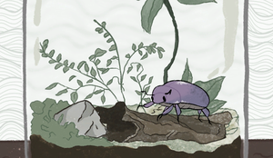 play Tiny Terrarium