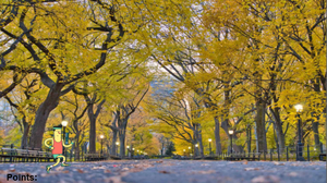 play Central Park Collecting Game