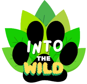 play Into The Wild