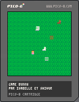 play Game Bunny