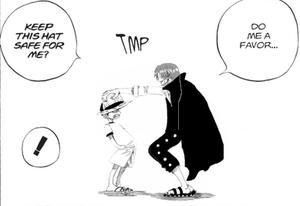 play One Piece Ragdoll