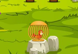 play Rescue The Small Bird From Cage