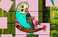 Cute Budgie Puzzle game