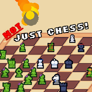 play Not Just Chess!