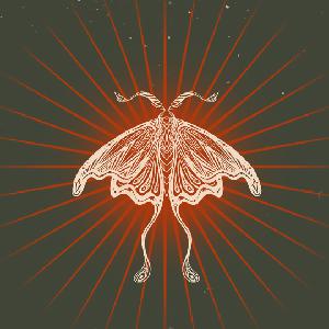 play Moth Emporium