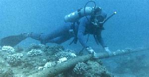 play Abyssopelagic Cable Anomaly