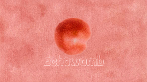 play Echowomb