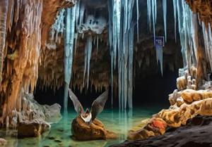 play The Stalagmite Cave Adventure