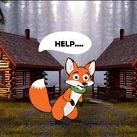 play Preserve The Fox Family