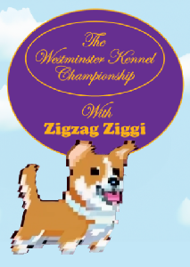 play Zigzag Ziggi Championship