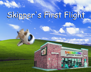 play Skipper'S First Flight