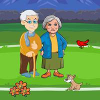 play Assist Stuck Elderly Couple