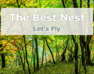 play The Best Nest
