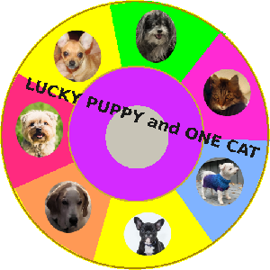 play Lucky Puppy Power