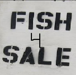 play Catfishing (Lab 1 Csc1 370)