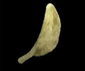 play Spinning Chip Clicker