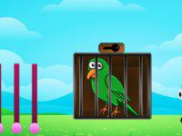 play Squawk For Freedom