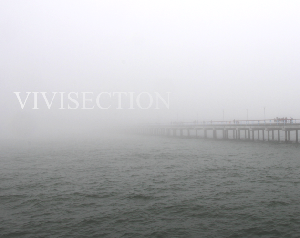 play Vivisection