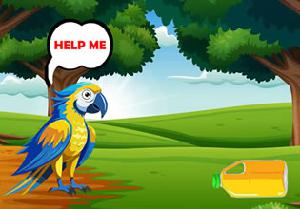 play Provide Food To Macaw