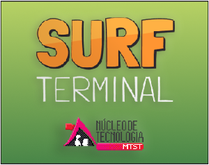 play Surf Terminal