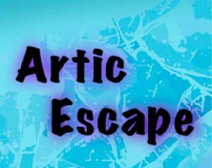 play Artic Escape