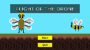 play Flight Of The Drone