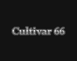 play Cultivar 66