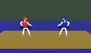play Random Taekwondo