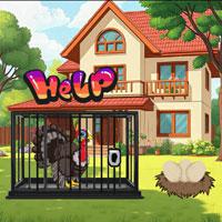 play Wow-Aid-Turkey-To-Preserve-Egg