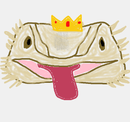 play King Neb