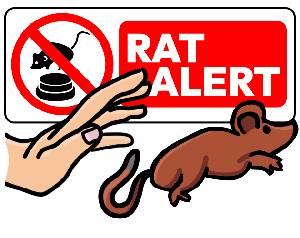 play Rat Alert