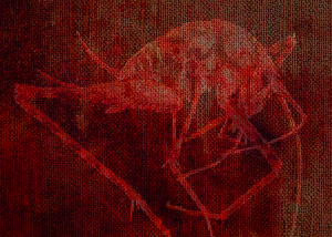 play The Chitin Basement