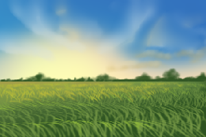 play Watching Grass Grow