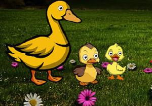 play Duck Family Reach Pond