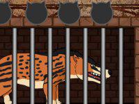 play Andrewsarchus Release From Cage