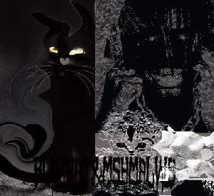 play Black Cats & Marshmallows