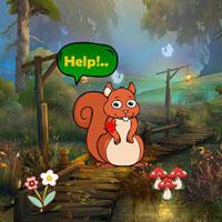 play First Aid To Injured Squirrel