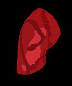 play Chrysalis