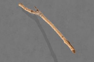 play Tfotlctdsri(Btwwfip)