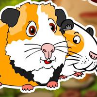 play G2J-Teddy-Guinea-Pig-Family-Rescue