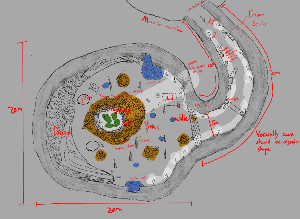 play Week 1: Dragon'S Cave