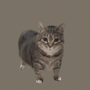 play Cat Vs Human