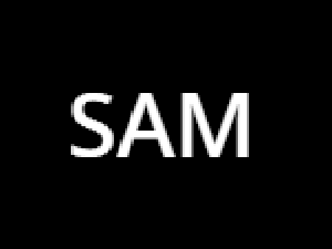 play Sam