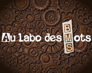 play Au Labo Des Mots