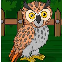 play G2J-Long-Eared-Owl-Escape