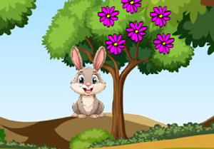 play Feed The Bunny