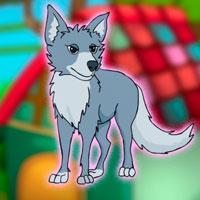 play G2J-Canis-Latrans-Rescue-From-Cage