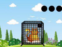 play Tomcat Escape
