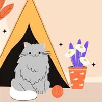 play Hungry-Cat-Family-Escape-Html5
