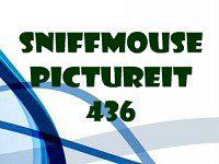 play Pictureit 436